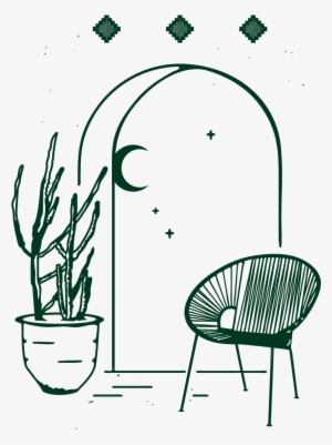 We Specialize In Exotic Cacti And Tropical Potted Plants #731183