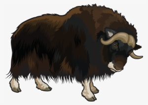 Buffalo Png Clipart - Buffalo Clipart Png #731674