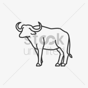 Vector Transparent Library Buffalo At Getdrawings Com - Tamaraw Drawing #731843