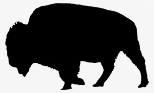 American Bison Oxen Silhouette Water Buffalo African - Bison Silhouette Png #731909