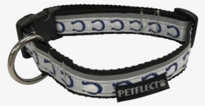 Petflect Indianapolis Colts Dog Collar - Belt #732023