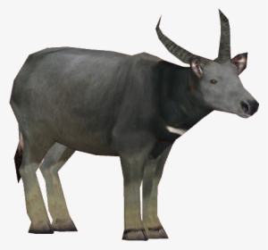 Wild Water Buffalo Png #732066