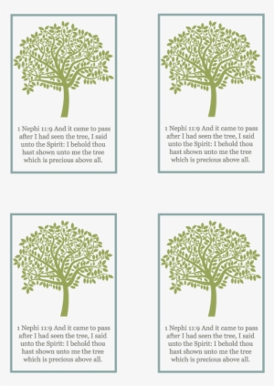 Primary Manual - Pond Pine #732090