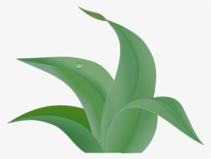 Jungle Leaves Clip Art - Leaf #732394