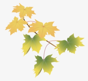 Leaves Green #732521