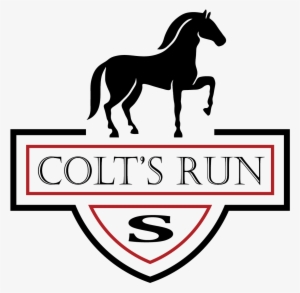 Colt's Run South Located In Lower Nazareth Township - Horse #732543