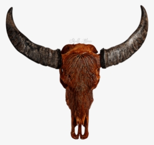 Buffalo Skulls - Buffalo Skull Png #732546
