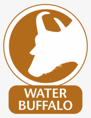 Water Buffalo Monoclonal Antibodies For Use In Water #732604