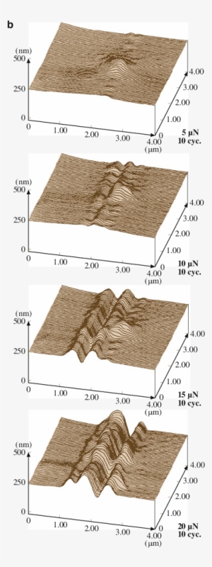 Surface Profiles For Scratched Pet Film Polymer Region, - Floor #733194