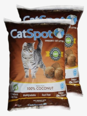 Refunds Are Only Offered On The Very First Purchase - Kitten #735166