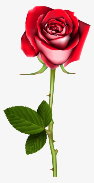 Rose Png Clip Art - Clip Art Roses Png #737154
