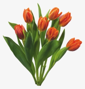Bouquet Flowers Png - Love Tulips Beautiful Spring Flowers Set #737198