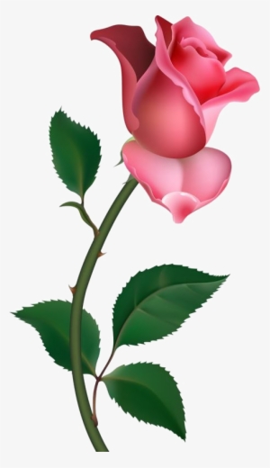 Single Rose Png Pic - Clip Art Rose #737265