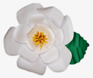 Magnolia Clipart Single - Paper #737696