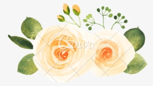 Yellow Roses Watercolor - Garden Roses #737983