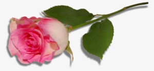 0, - New Nature Wallpaper Hd Widescreen High Quality Desktop #738302