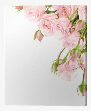 Pink Rose Border Clipart #738357