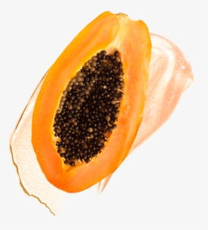 Files/slider Tile Papaya - Papaya #738762