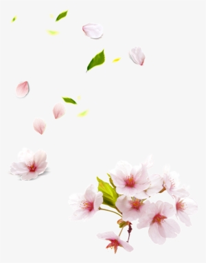 Este Gráficos Es Pink Papaya Pétalo De Flor Elemento - Peach Blossom Png #738803