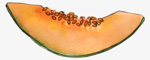 Cantaloupe June2018 Lyndsay - Honeydew #738893