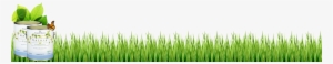 Lawn #738979