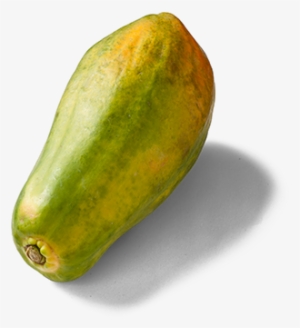 Papaja - Papaya #739028