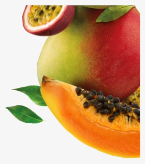 Mango, Papaya & Passionfruit 1kg - Mango Papaya #739109