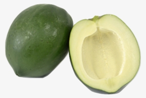 What You Should Know About Green Papaya Tea - Papaya #739171