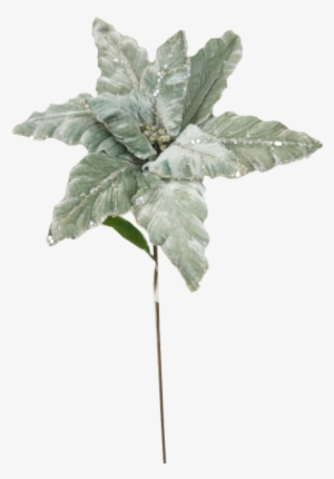 Picks & Stems Translation Missing - Poinsettia Stem #739197