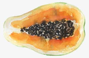 Papaya - - Papaya #739244