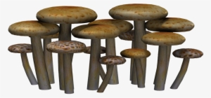 Transparent Png Mushroom Clipart Mushroom Colorful #739396