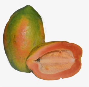 Papaya #739784