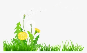 Dandelion Clipart Transparent - Dandelions Clip Art #739875