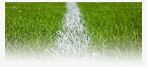 Football Grass Png - Football Pitch Grass Png #739945