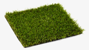 London Artificial Grass - Artificial Turf Png #739962
