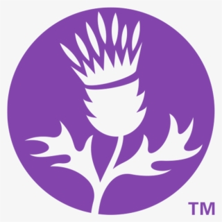 Thistle Png #7301533