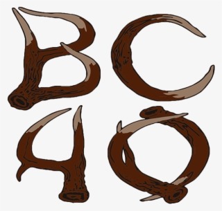 Basecamp 40 #7301589