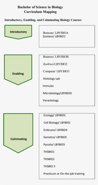 Bs Bio Curriculum Mapping #7302901