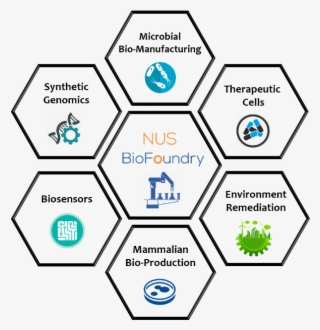 Synthetic Biology #7303068