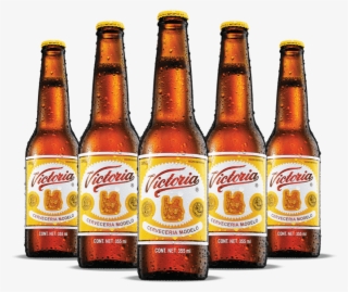 Desde Hasta Botellas Al Mes Caguama Mega Caton Caguama #7303159