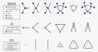 Abstract Influence Representation Of Biological Networks #7303203