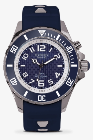 Silver Midnight #7303413