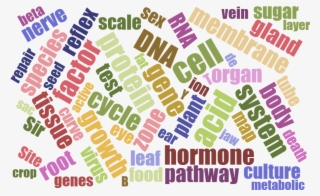 Biology #7303605
