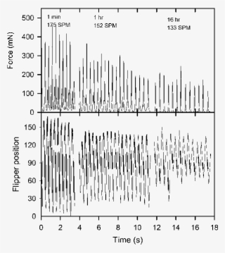 Traces Of Force Production And Mean Front Flipper Tip #7303656