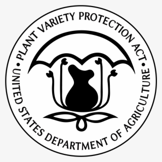 Pvp Seal Transparent #7306480