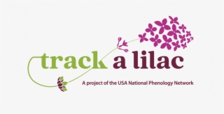 Track A Lilac Logo #7307998 Track A Lilac Logo #7307998