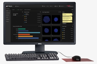 Neon System #7308413