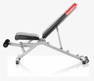 Bowflex Selecttech #7309915