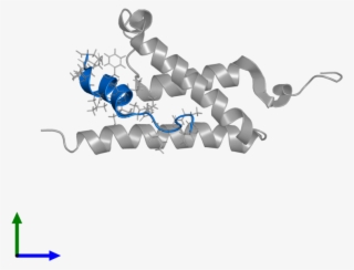 <div Class='caption-body'>pdb Entry 2lxs Contains 1 #7312098