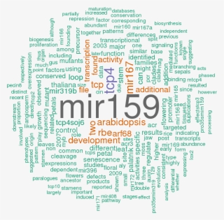 Stem Loop Sequence Ath Mir319a #7312318